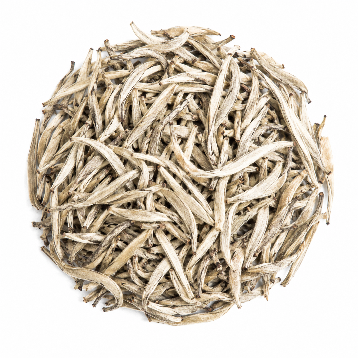 Big Silver Needle white tea, downy buds from Bai Ying Shan Yunnan, 25g