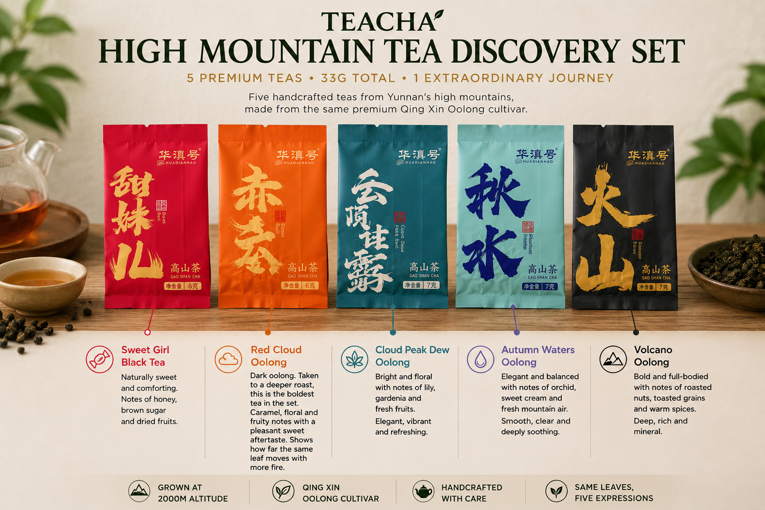 High Mountain Tea Discovery Set by TeaCha, five Yunnan Qing Xin teas for beginners